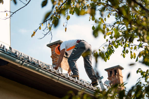 Best Residential Roofing Contractor  in Waymart, PA